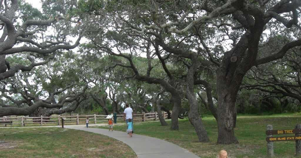 Access to T-Mobile at Goose Island State Park, Texas: